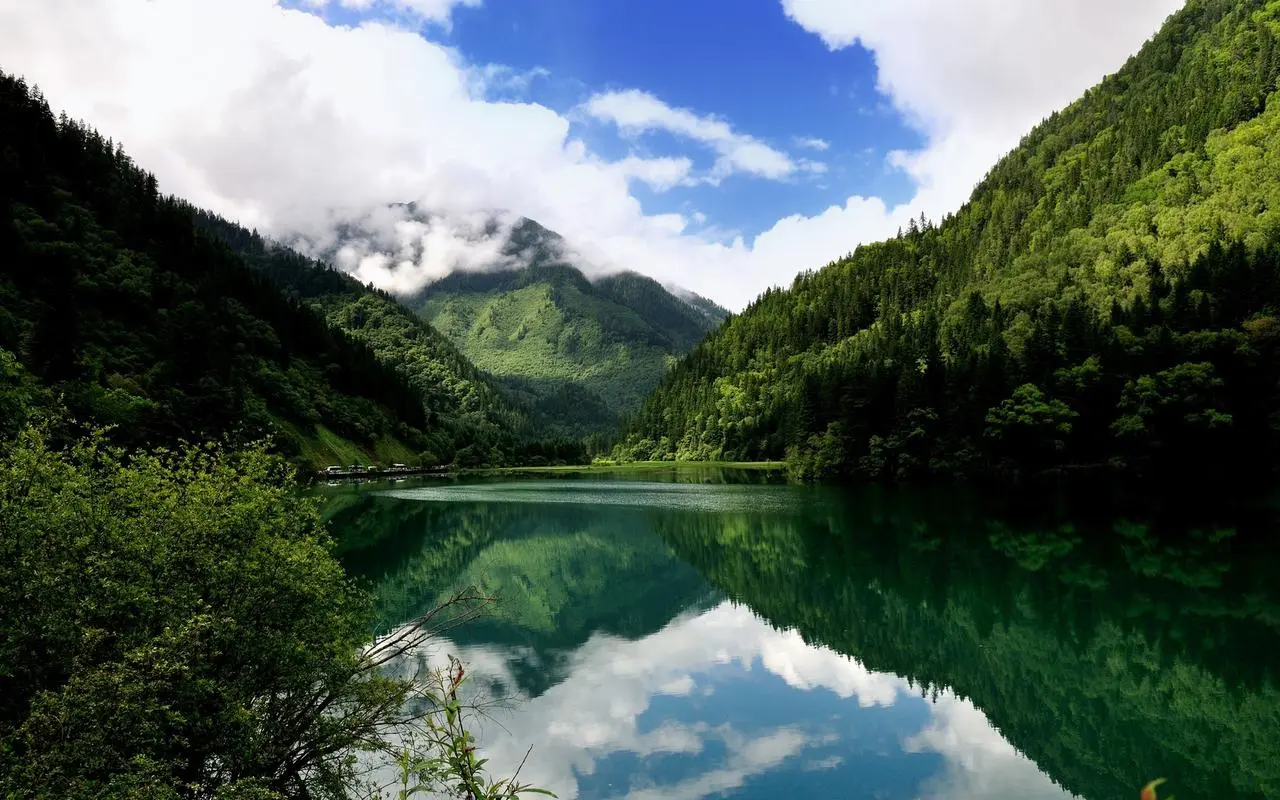 节能高效高端